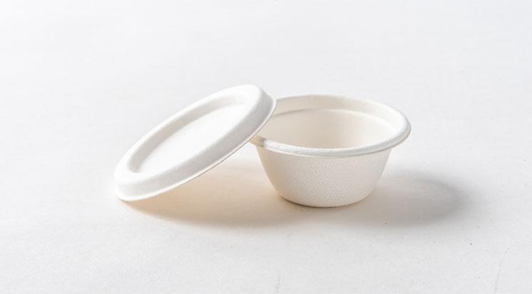 Bagasse Cups